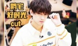 刘大锤爆料姚琛直播视频,视频内容引发热议