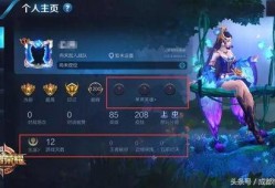 兄弟们爆料王者英雄的视频,兄弟爆料视频大揭秘