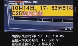聚焦中国网络爆料新闻,网络爆料揭示社会热点事件