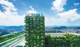 碧桂园爆料最新情况,揭秘项目进展与未来规划”