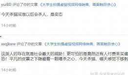 独家爆料绯闻视频,绯闻视频背后的惊人真相