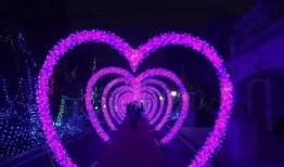 缤纷油彩大转盘爆料视频