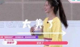 刘些宁爆料王艺锦视频,惊人内幕曝光