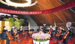 在线观看剧院,在线观看剧院的无限魅力探索