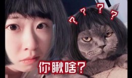 张二狗爆料视频,幕后真相大曝光！