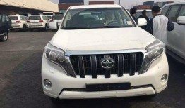 新款霸道爆料视频大全下载,揭秘新款霸道爆料视频大全下载亮点