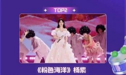 工作人员爆料杨紫视频,工作人员爆料视频引热议