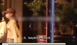 越南狗仔爆料视频大全下载,揭秘娱乐圈幕后真相