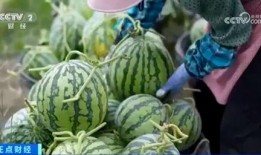 晋江网红吃瓜视频大全集,揭秘网络红人幕后故事