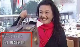 陕西儿媳妇爆料视频,揭秘婆媳关系的真实面貌