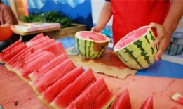 野餐兔网红吃瓜图片真实,揭秘美食与娱乐的完美融合