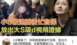 大s爆料完整视频