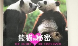 神秘人爆料熊猫视频,熊猫视频背后的惊人真相