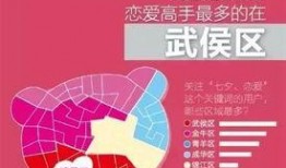 四川爆料成都视频,一视频引发网友热议，揭秘城市生活百态