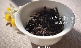 网红肉桂爆料视频大全集,揭秘幕后真相与精彩瞬间