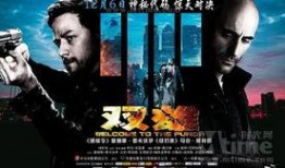 好莱坞双雄在线观看,巅峰对决，在线观影指南