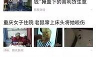 新的新闻爆料有哪些内容,揭秘重大事件背后惊人内幕