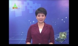 文安女士爆料新闻视频,揭秘新闻视频背后真相