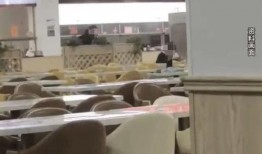 中学食堂爆料视频最新,揭秘中学食堂卫生与食品安全问题