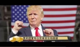 特朗普黑莉最新爆料,揭秘白宫内部权力斗争与外交争议