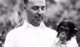 人曾杂交在线观看