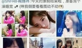 吃瓜娱乐王思聪视频大全,揭秘娱乐圈幕后故事