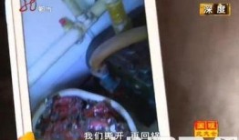 东北网哈尔滨爆料新闻,聚焦城市热点事件，揭秘幕后真相
