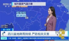 四川爆料热点新闻最新视频,视频揭露惊人事件，详情令人震惊！