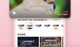 网友爆料雪莲视频下载,网友爆料揭秘热门视频下载攻略