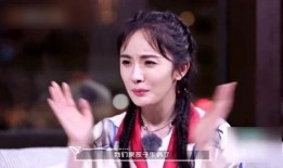 杨幂爆料金瀚视频大全,揭秘明星幕后故事