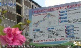 玉林爆料视频,真实事件背后的惊人真相
