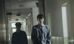 娱乐圈吃瓜阴谋论,吃瓜背后的阴谋与真相