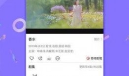 网友爆料雪莲视频下载,网友爆料揭秘热门视频下载攻略