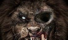 动物僵尸在线观看