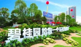 碧桂园爆料最新情况,揭秘项目进展与未来规划”