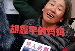 胡鑫宇女朋友爆料了吗视频,视频爆料背后的真相