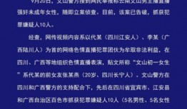 中学生新闻爆料案例,揭秘校园事件背后的真相