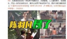 王业坤爆料隐情视频
