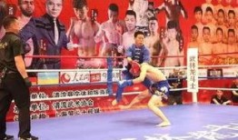 散打爆料最新消息