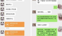 爆料老吴事件视频播放网站,视频网站播放背后的真相与争议