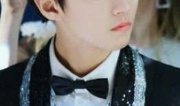 王俊凯爆料男星有哪些视频