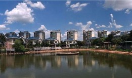 观屿最新爆料,揭秘神秘项目背后的惊人真相