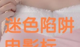 迷色陷阱高清在线观看,高清在线观看，揭秘网络迷局