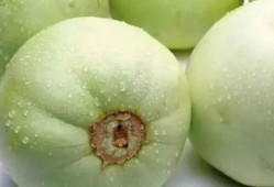 甜瓜大爆料十集视频,十集视频揭秘幕后真相