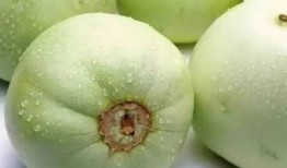 甜瓜大爆料十集视频,十集视频揭秘幕后真相