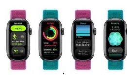 苹果16售价最新爆料图片,颠覆性价格，科技新旗舰即将亮相