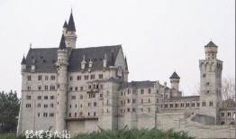 威廉古堡爆料视频大全下载,独家爆料视频大全下载全解析