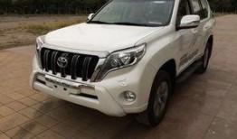 新款霸道爆料视频大全下载,揭秘新款霸道爆料视频大全下载亮点