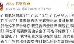 韩安冉爆料婚内出轨视频,真相背后引发热议