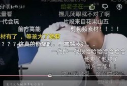 大锤爆料朱志鑫视频播放,揭秘背后真相